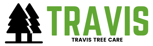 Travis Tree Care